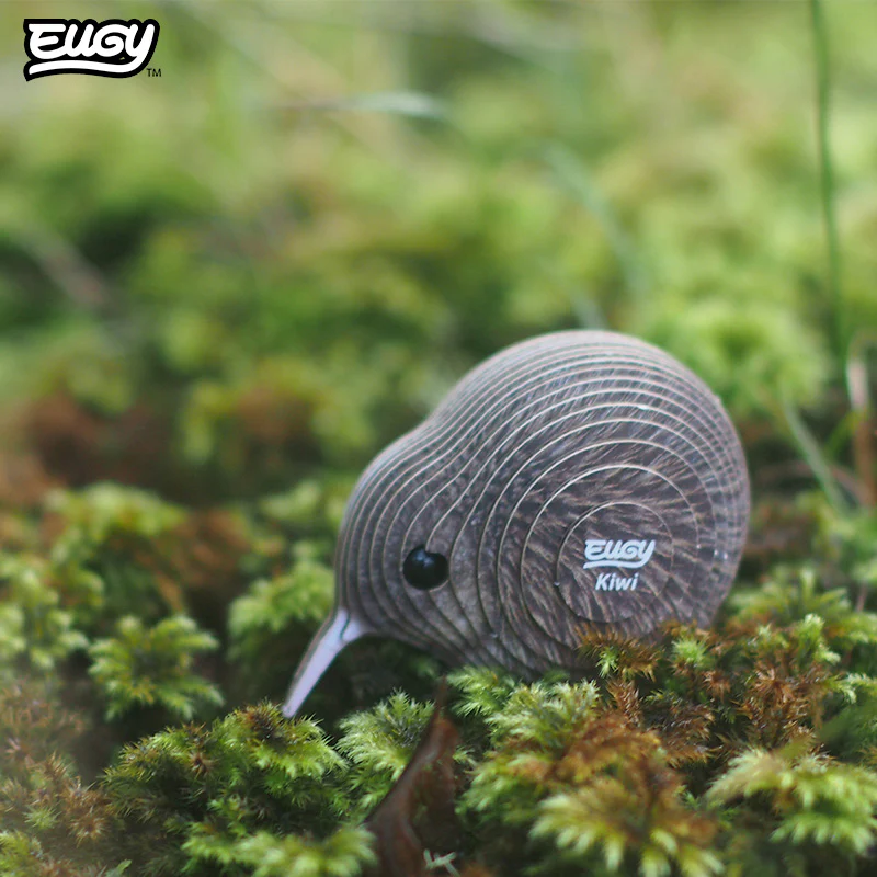 001 Kiwi - Image 8