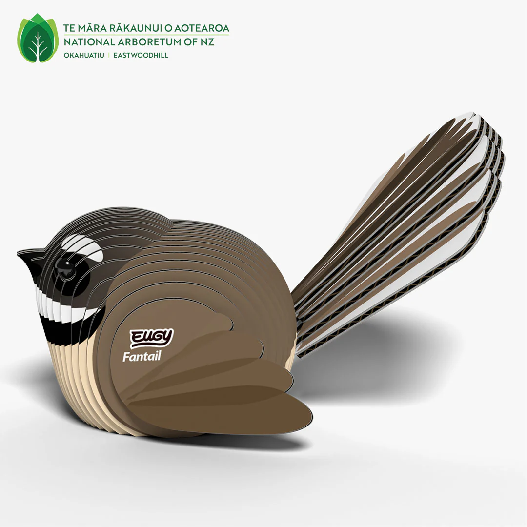 002 Fantail (Pīwakawaka) - Image 3