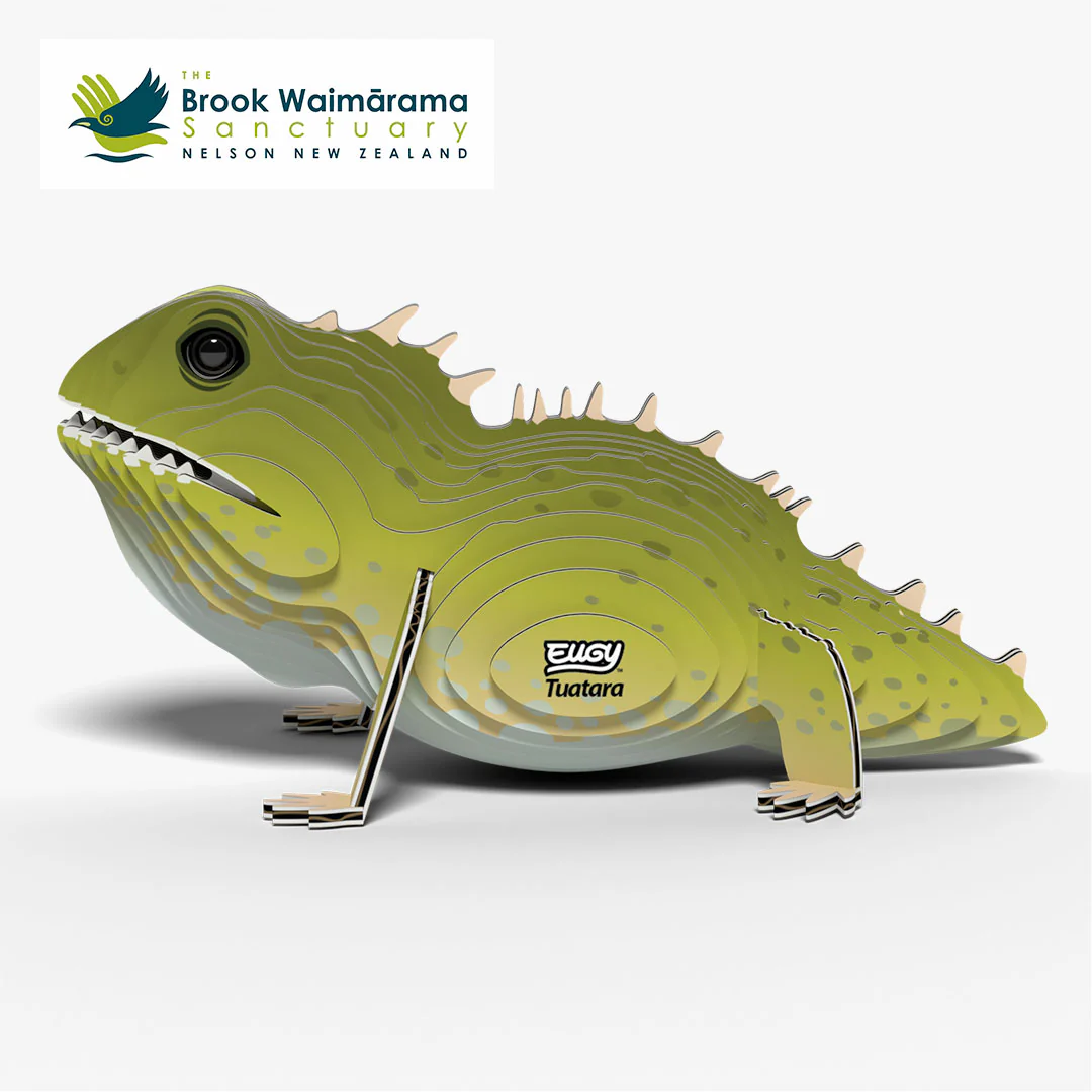 004 Tuatara - Image 3