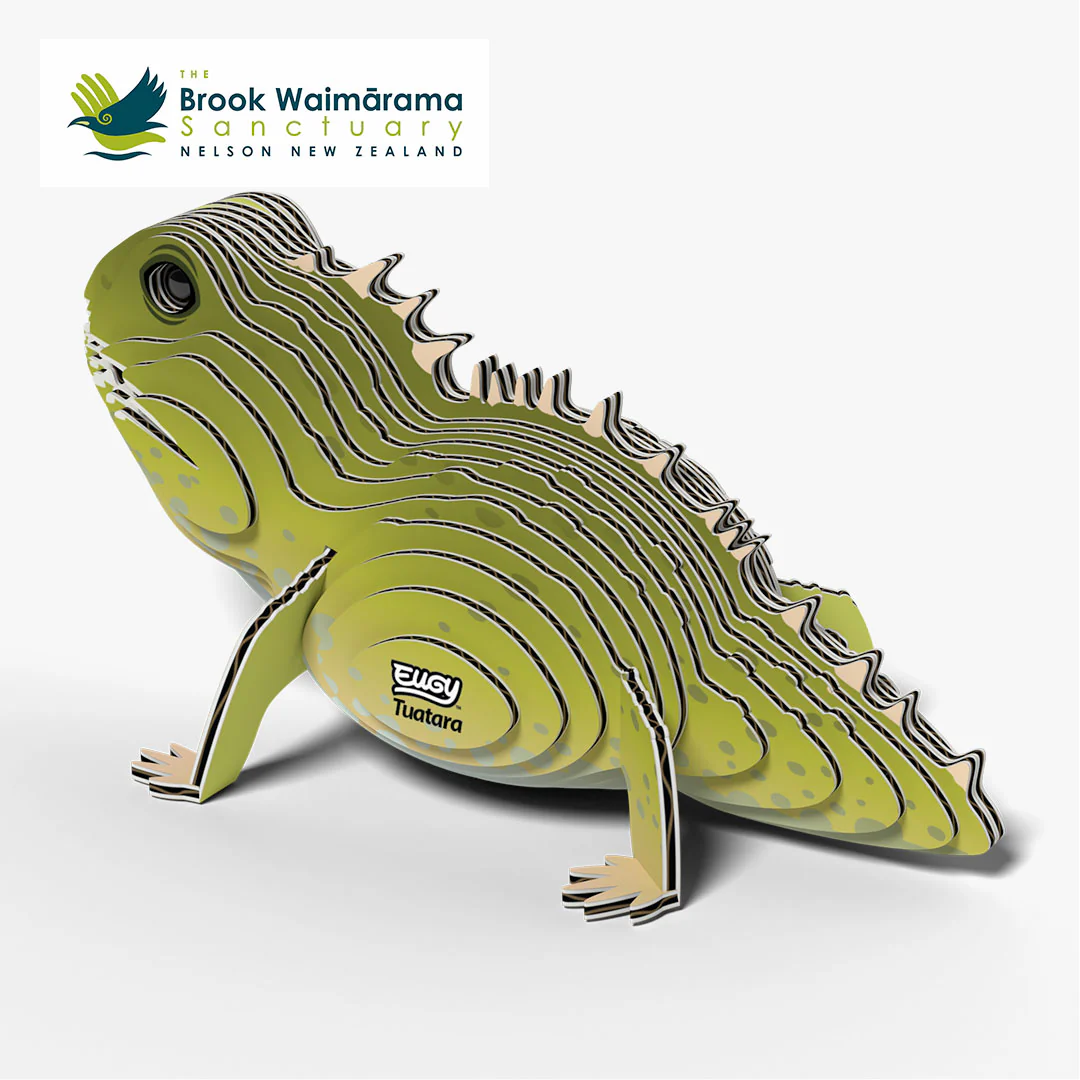 004 Tuatara - Image 4