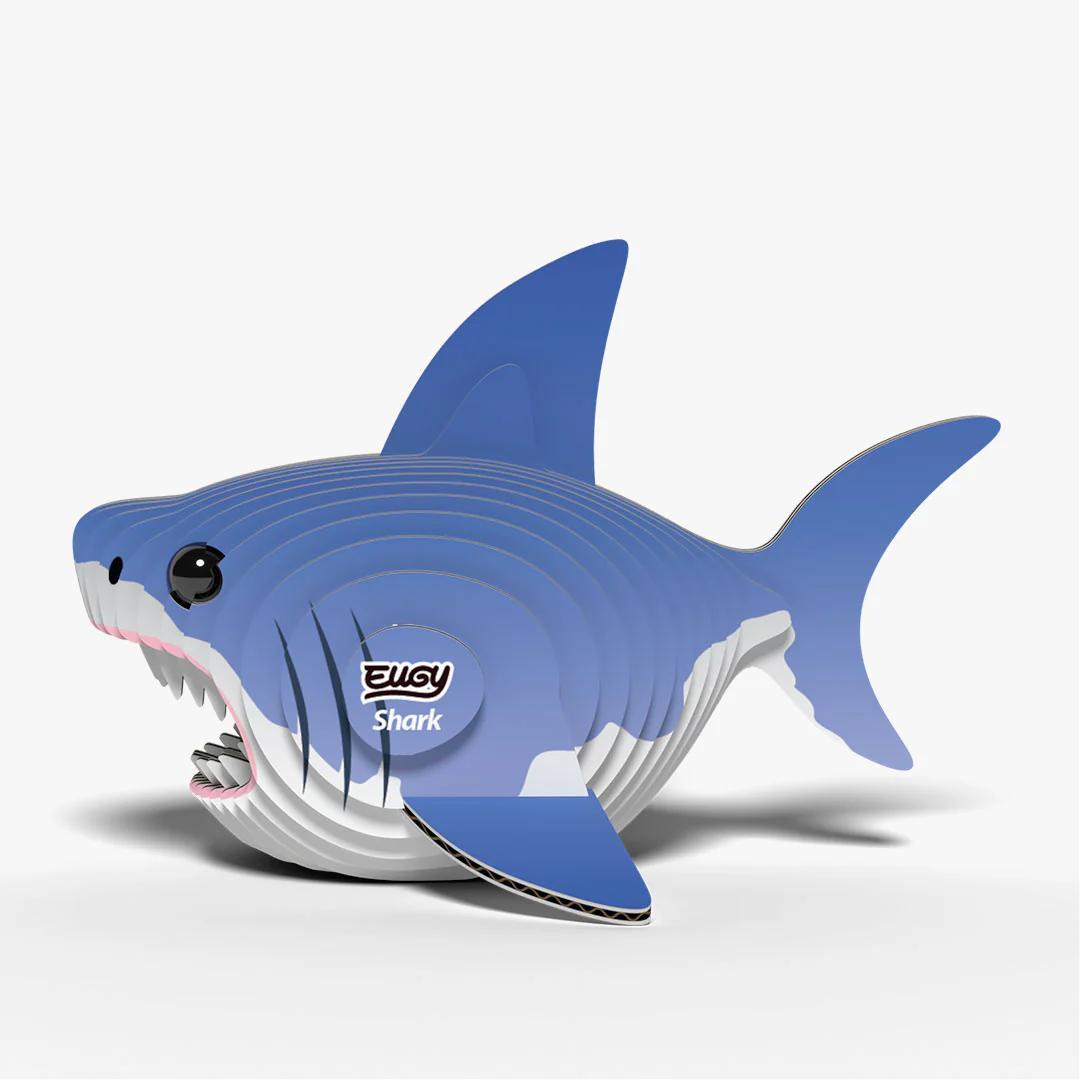 019 Shark - Image 3