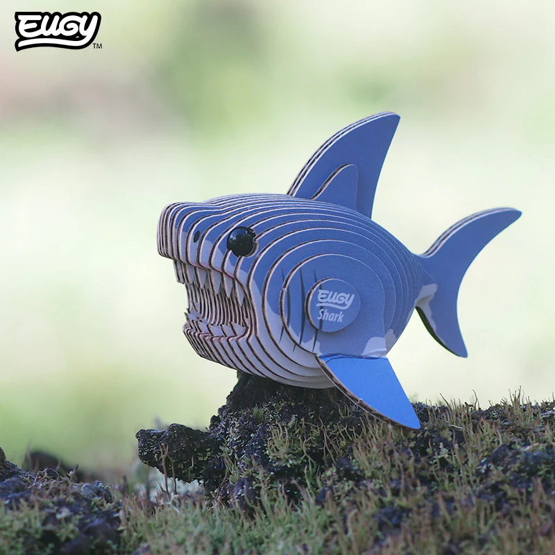 019 Shark - Image 7