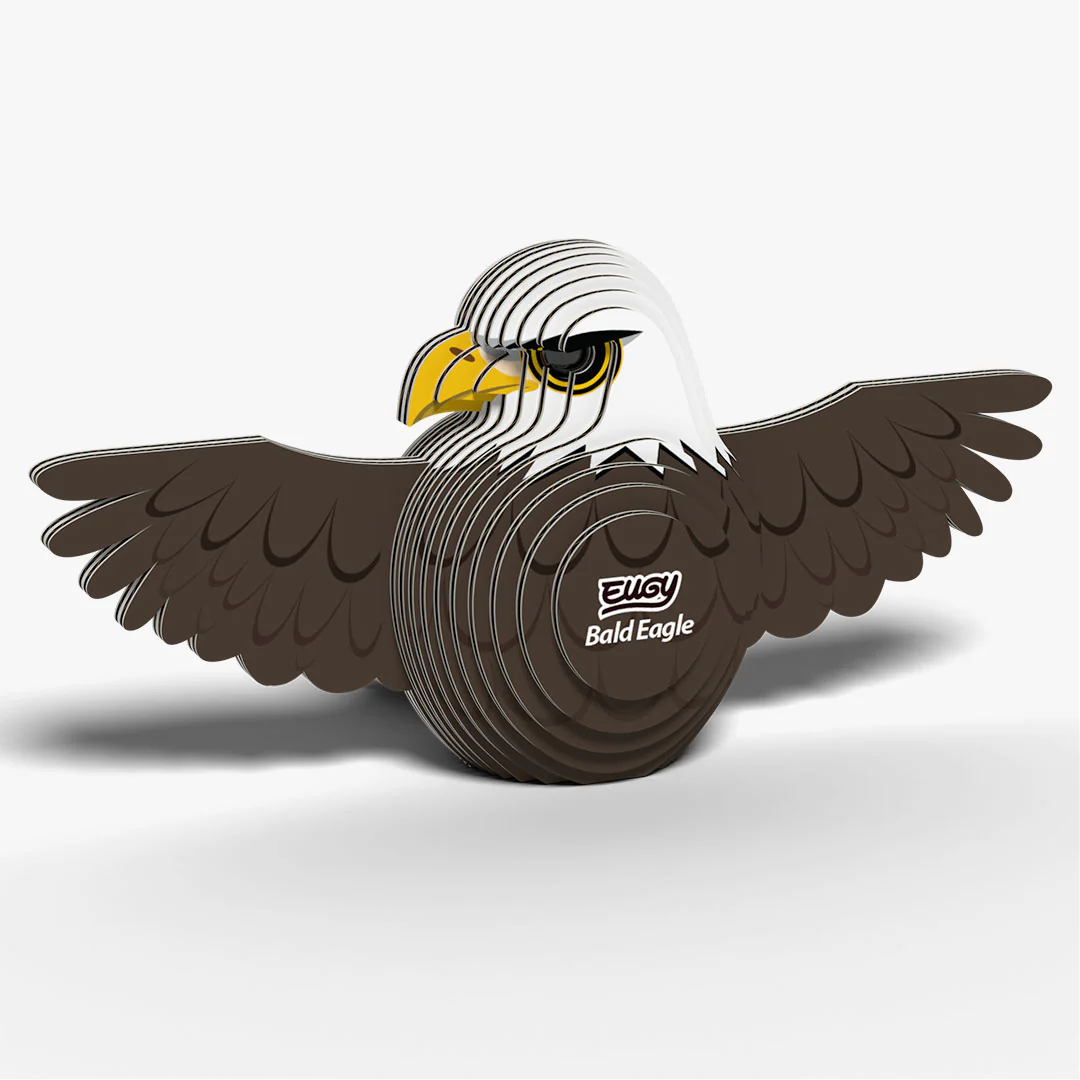 022 Bald Eagle - Image 2
