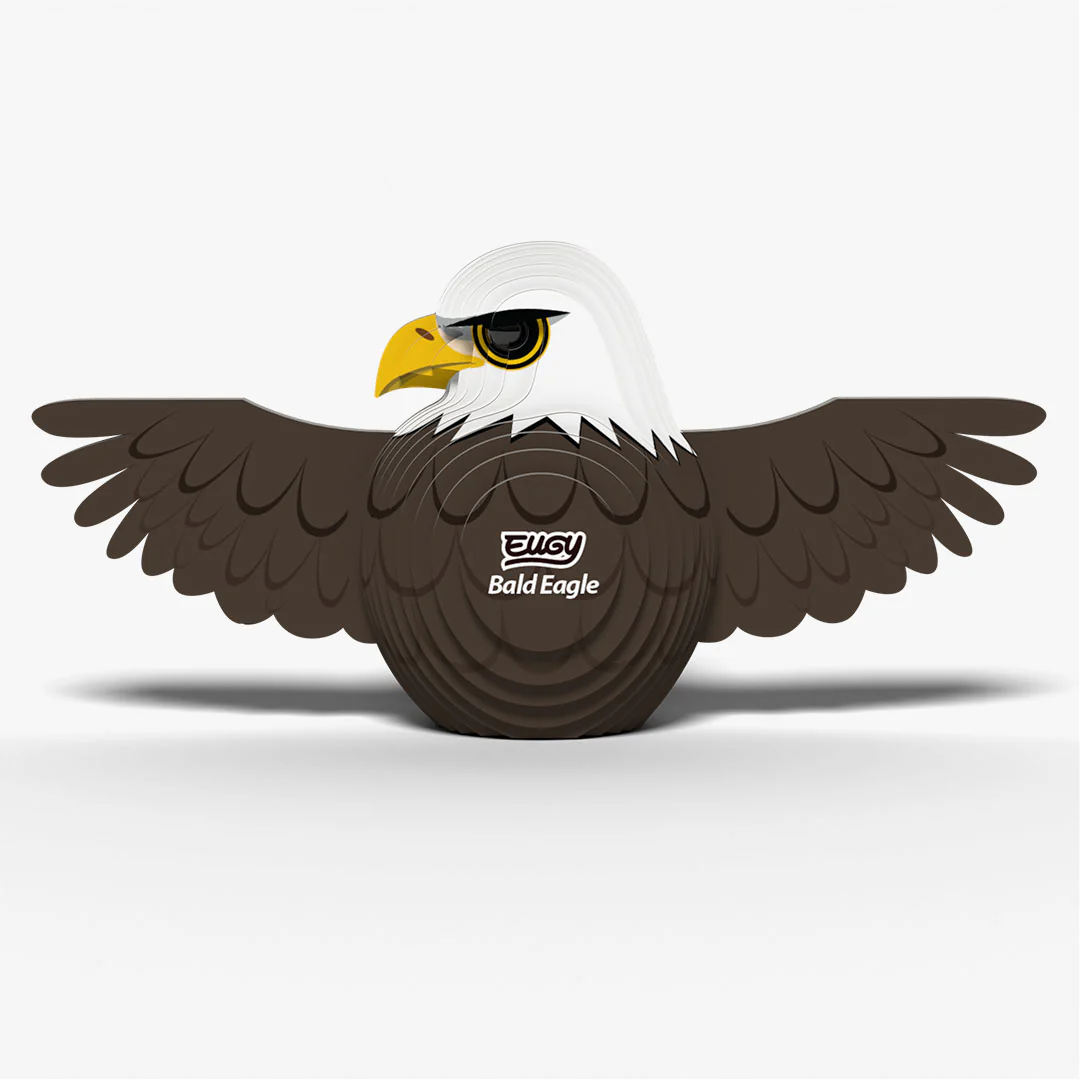 022 Bald Eagle - Image 3