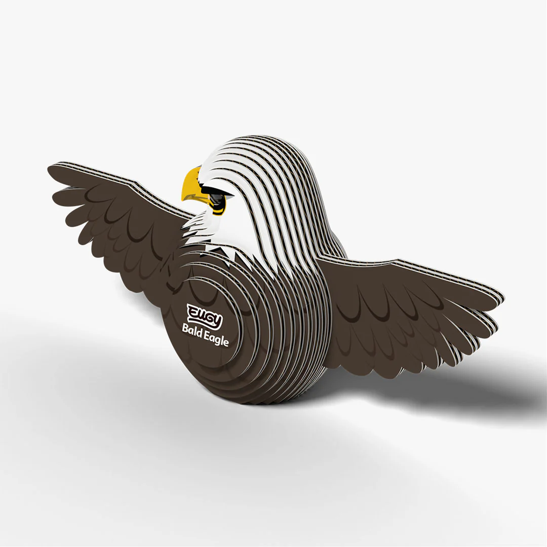 022 Bald Eagle - Image 4