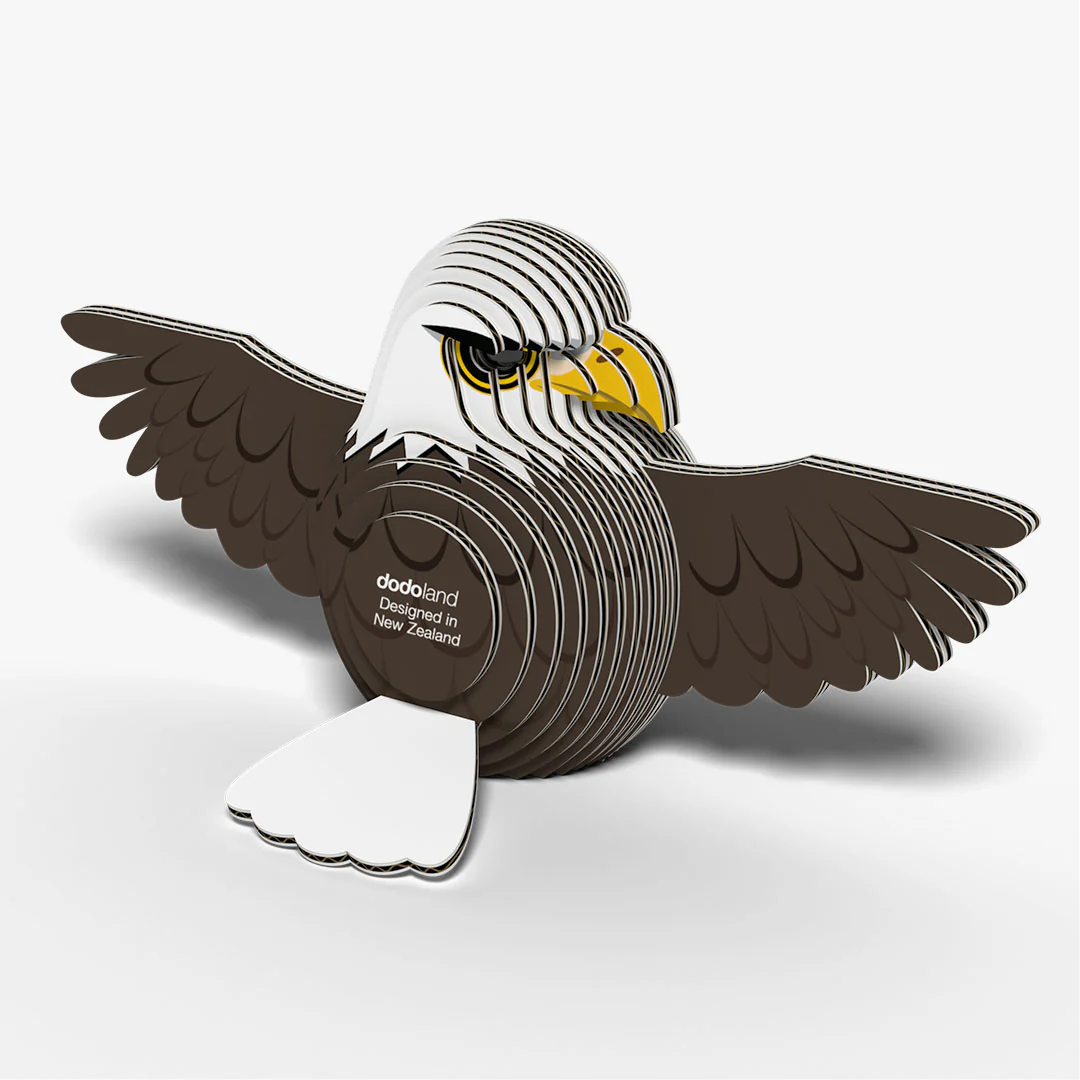 022 Bald Eagle - Image 5