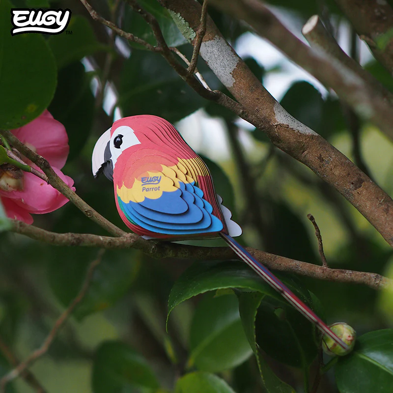 023 Parrot - Image 7
