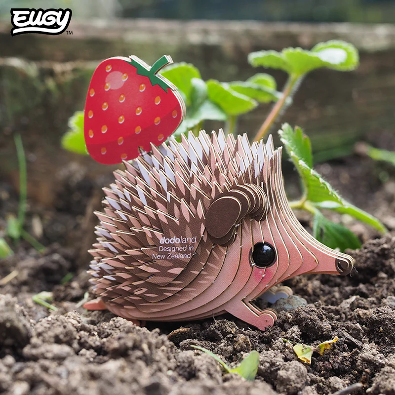 026 Hedgehog - Image 8