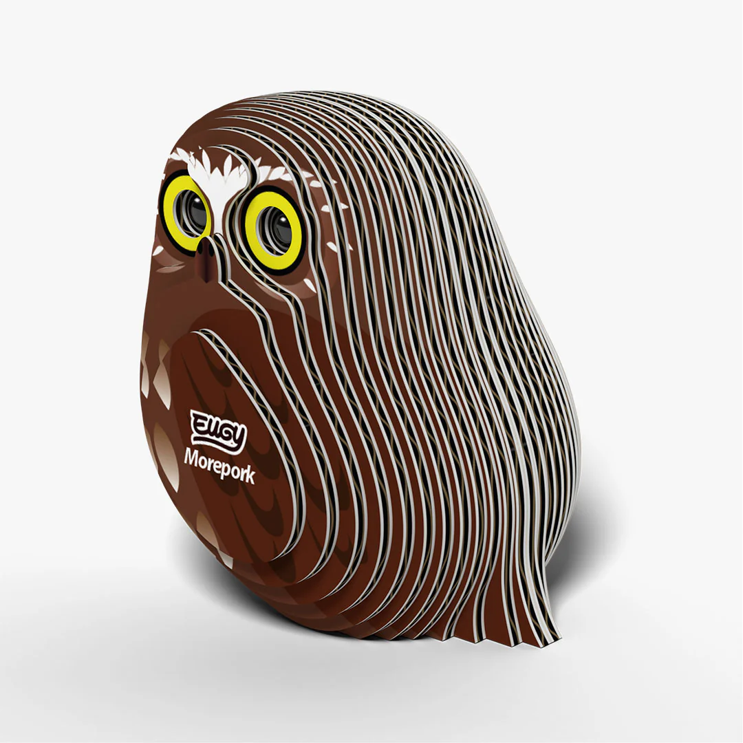 036 Morepork (Ruru) - Image 4