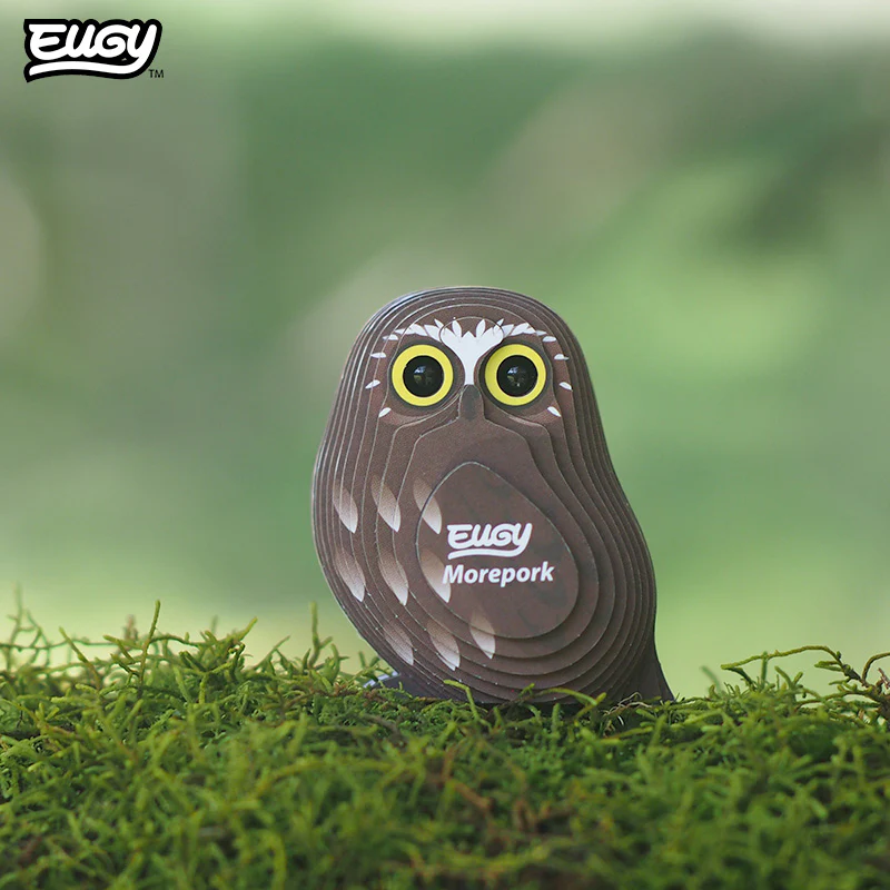 036 Morepork (Ruru) - Image 7