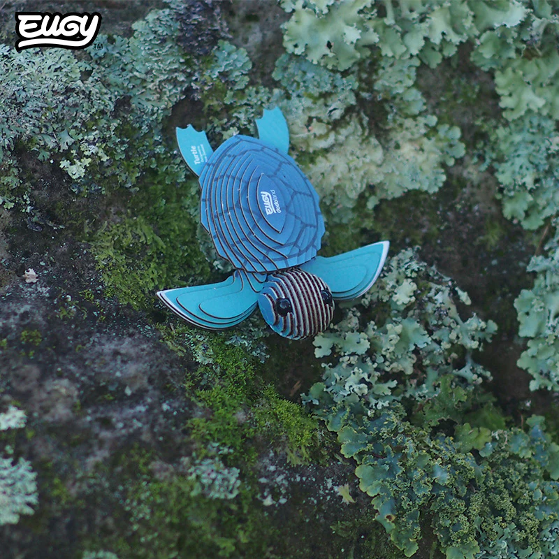 038 Turtle - Image 7