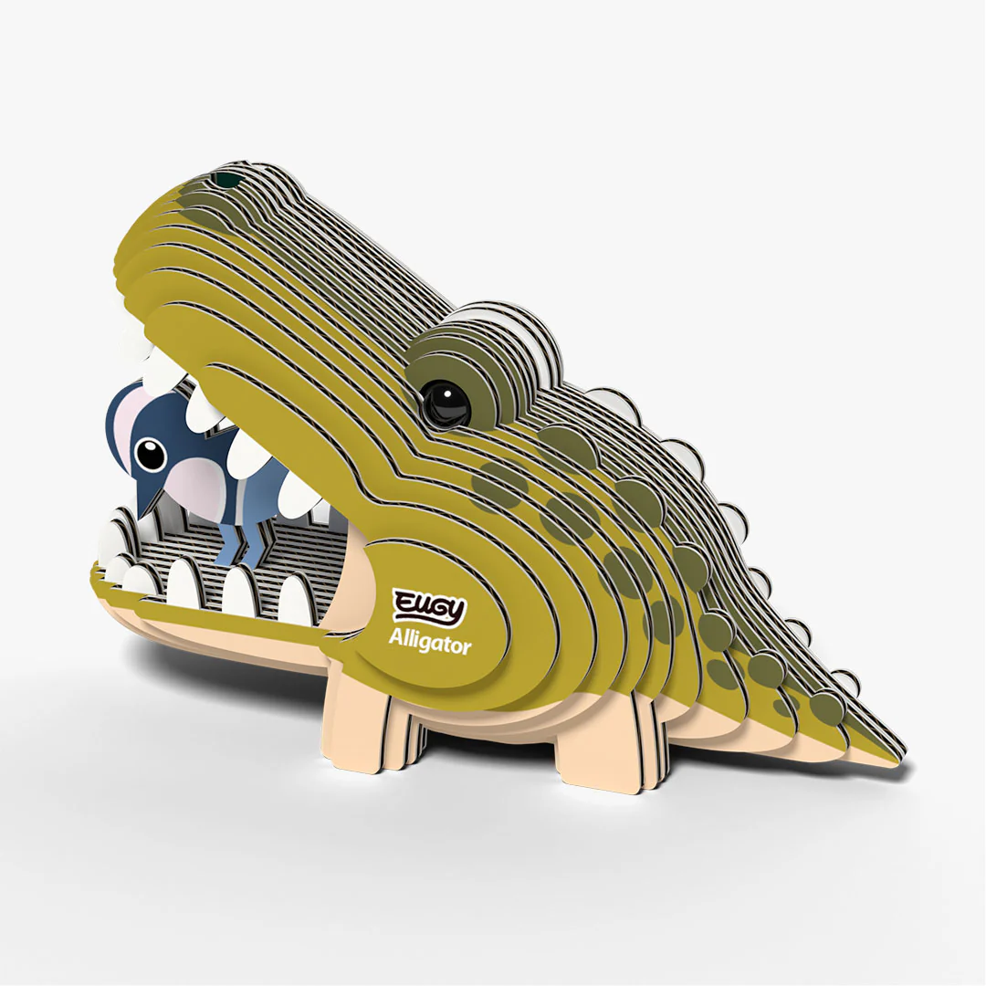 043 Alligator - Image 4