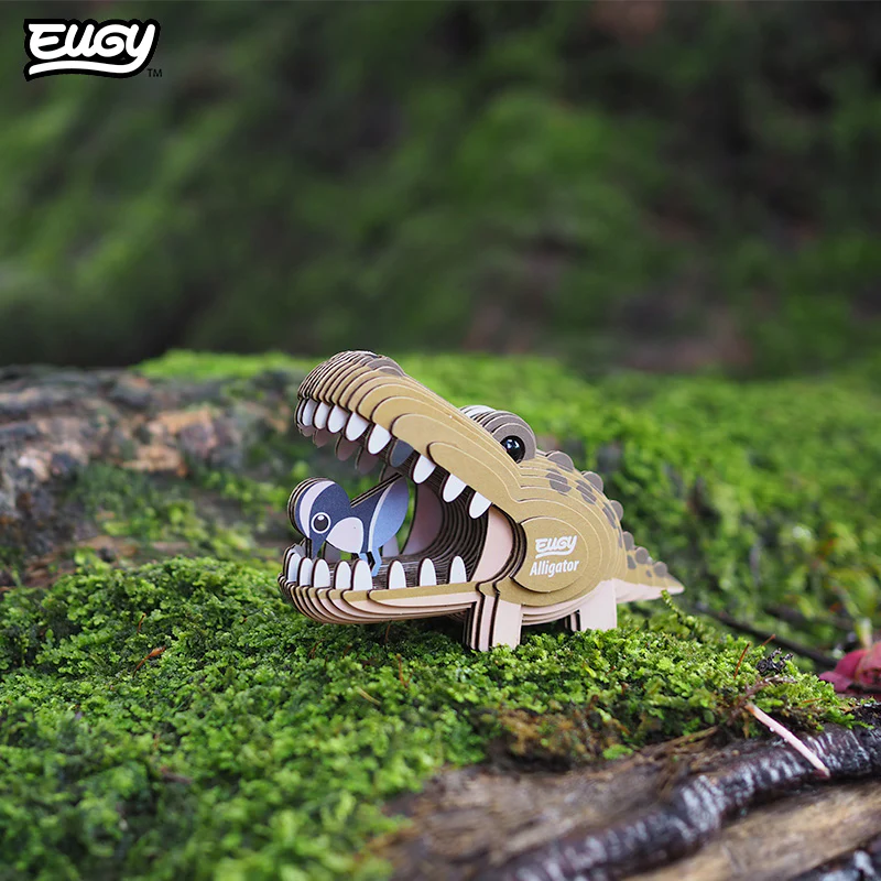 043 Alligator - Image 7