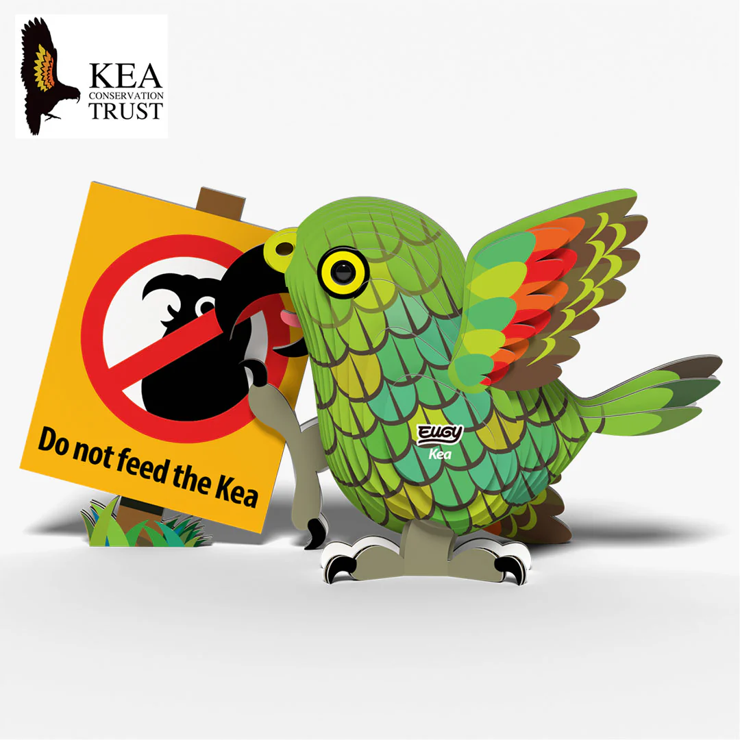 047 Kea - Image 3