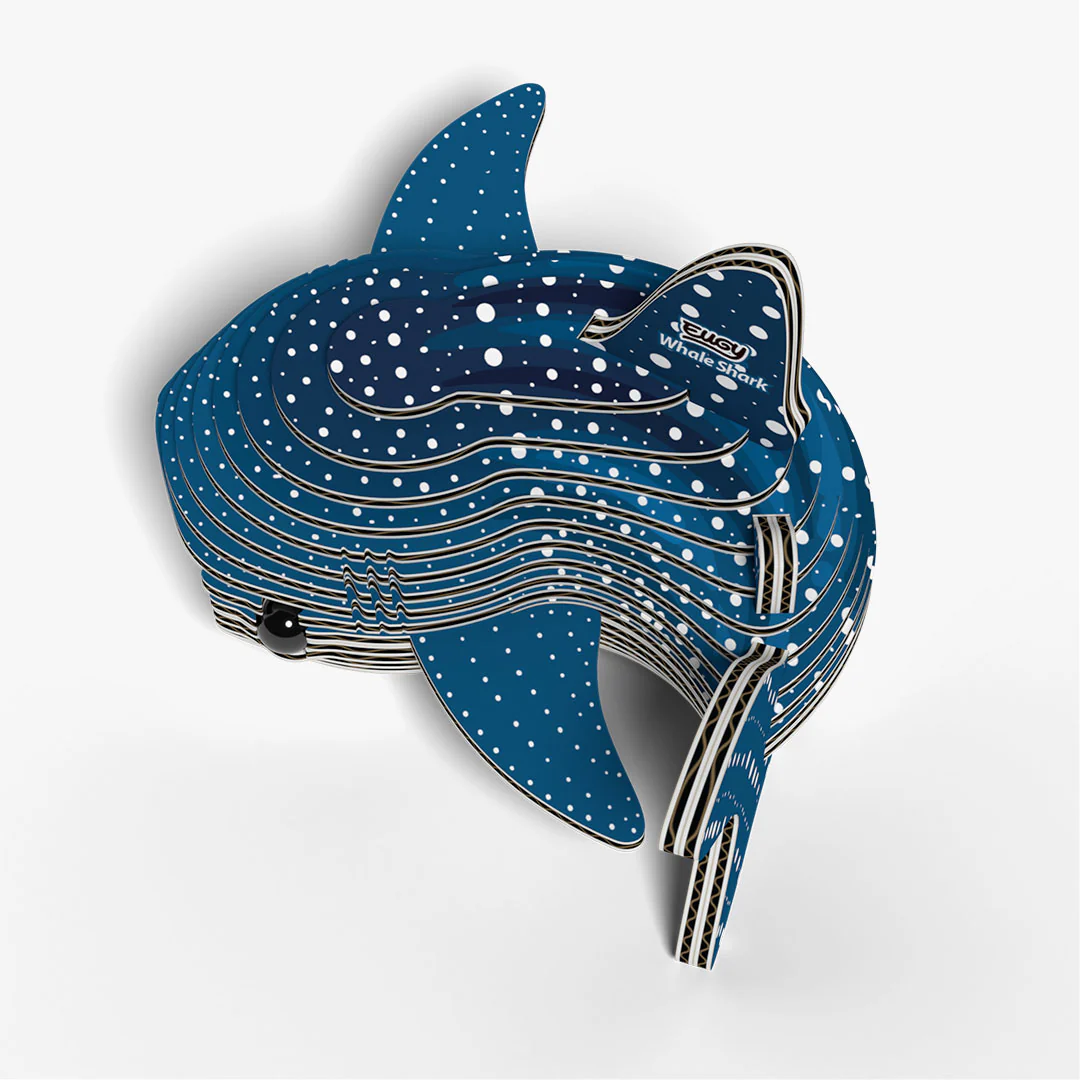 049 Whale Shark - Image 3
