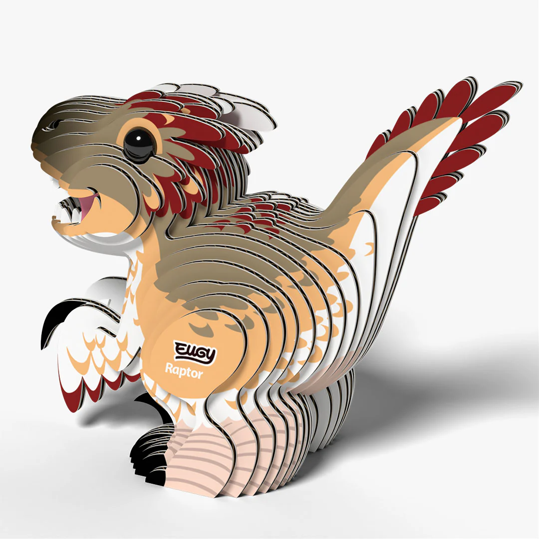 065 Raptor - Image 4
