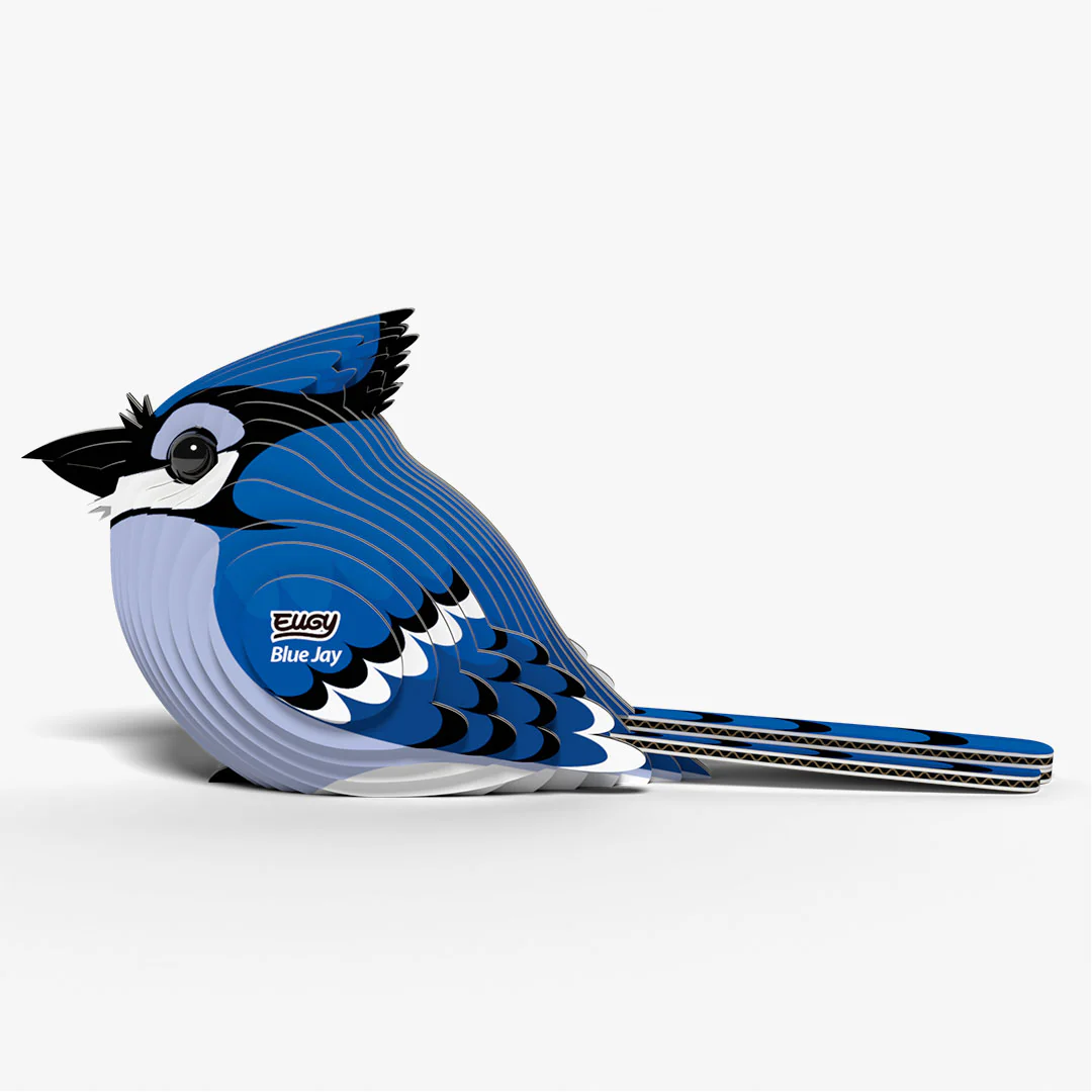 067 Blue Jay - Image 2
