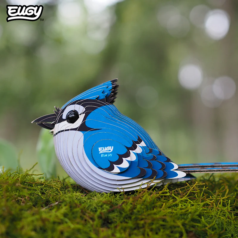 067 Blue Jay - Image 7