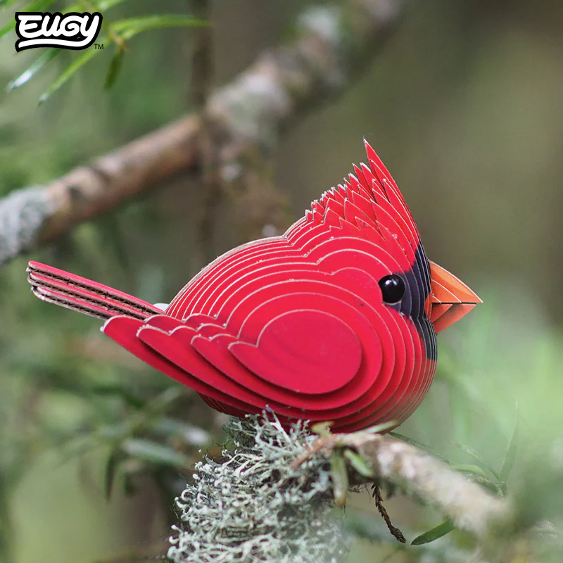 068 Cardinal - Image 7