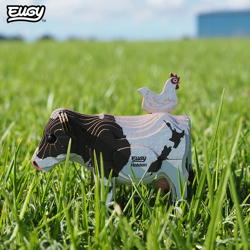 079 Holstein Friesian - Image 7