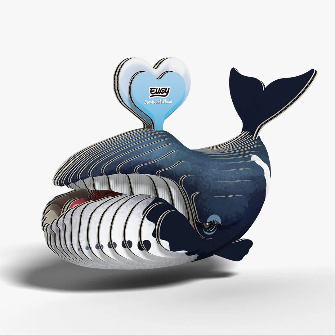 084 Bowhead Whale - Image 2