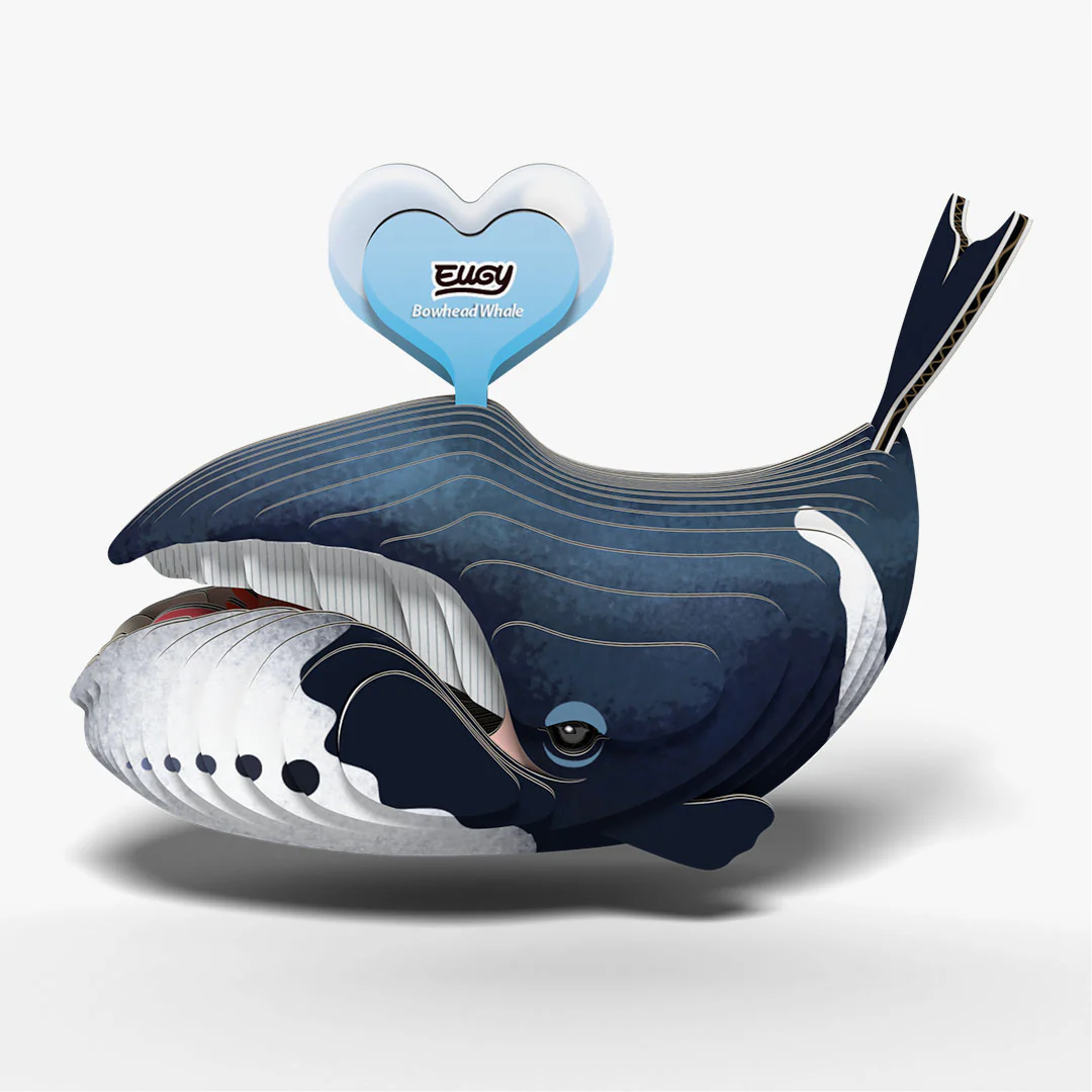 084 Bowhead Whale - Image 3