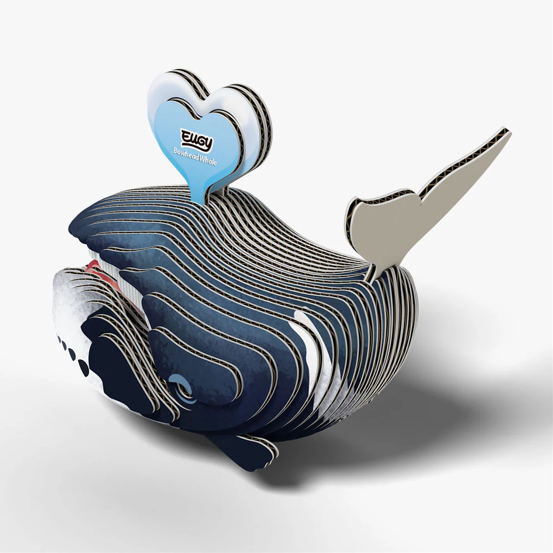 084 Bowhead Whale - Image 4