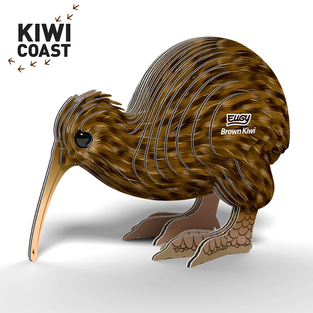 091 Brown Kiwi - Image 2