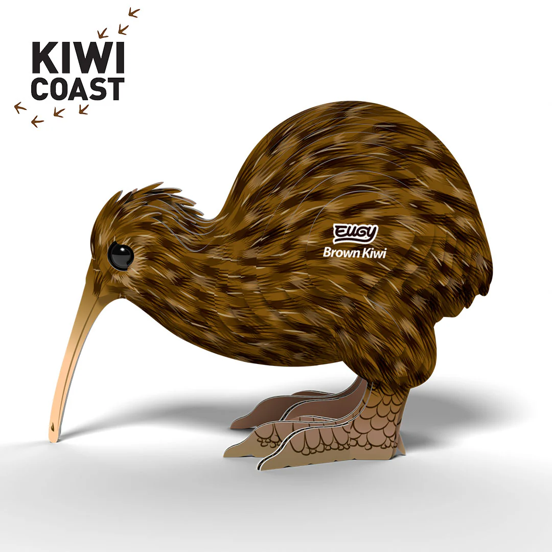 091 Brown Kiwi - Image 3