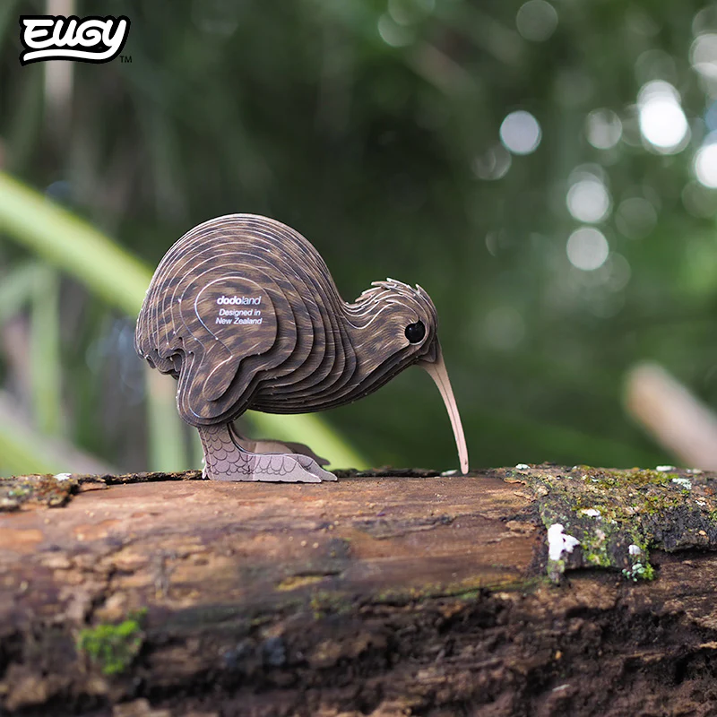 091 Brown Kiwi - Image 8
