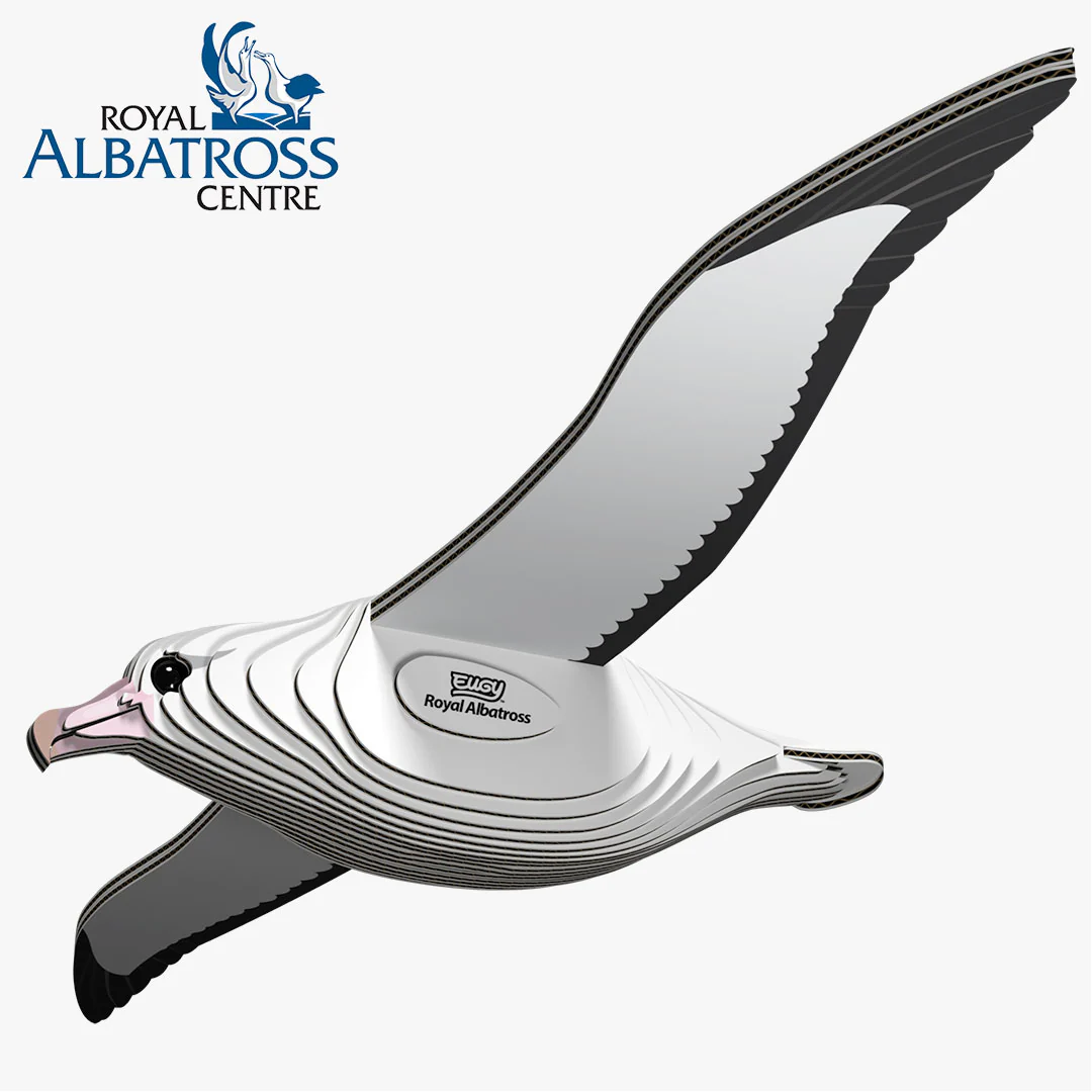 097 Royal Albatross - Image 2