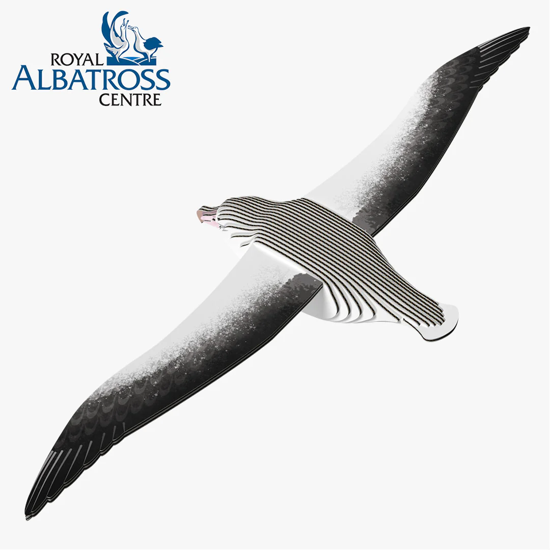 097 Royal Albatross - Image 3