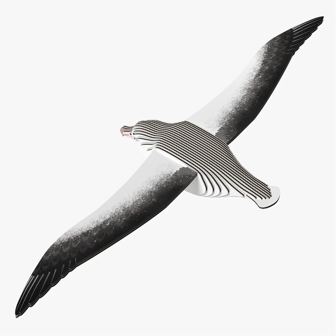 097 Royal Albatross - Image 4
