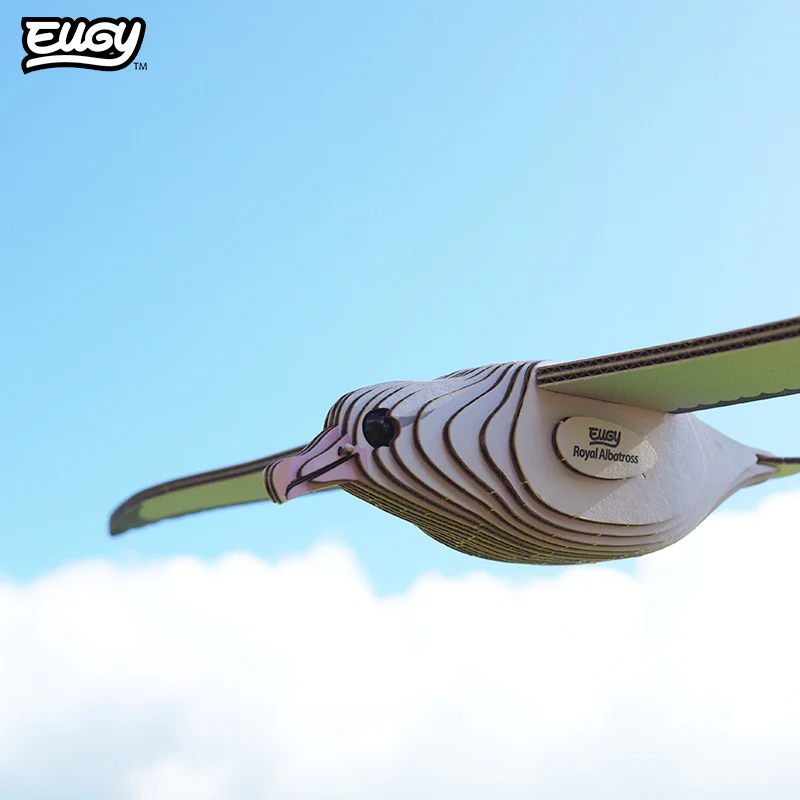 097 Royal Albatross - Image 7