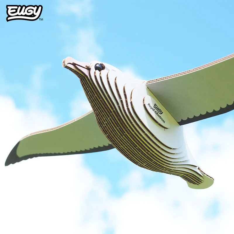 097 Royal Albatross - Image 8