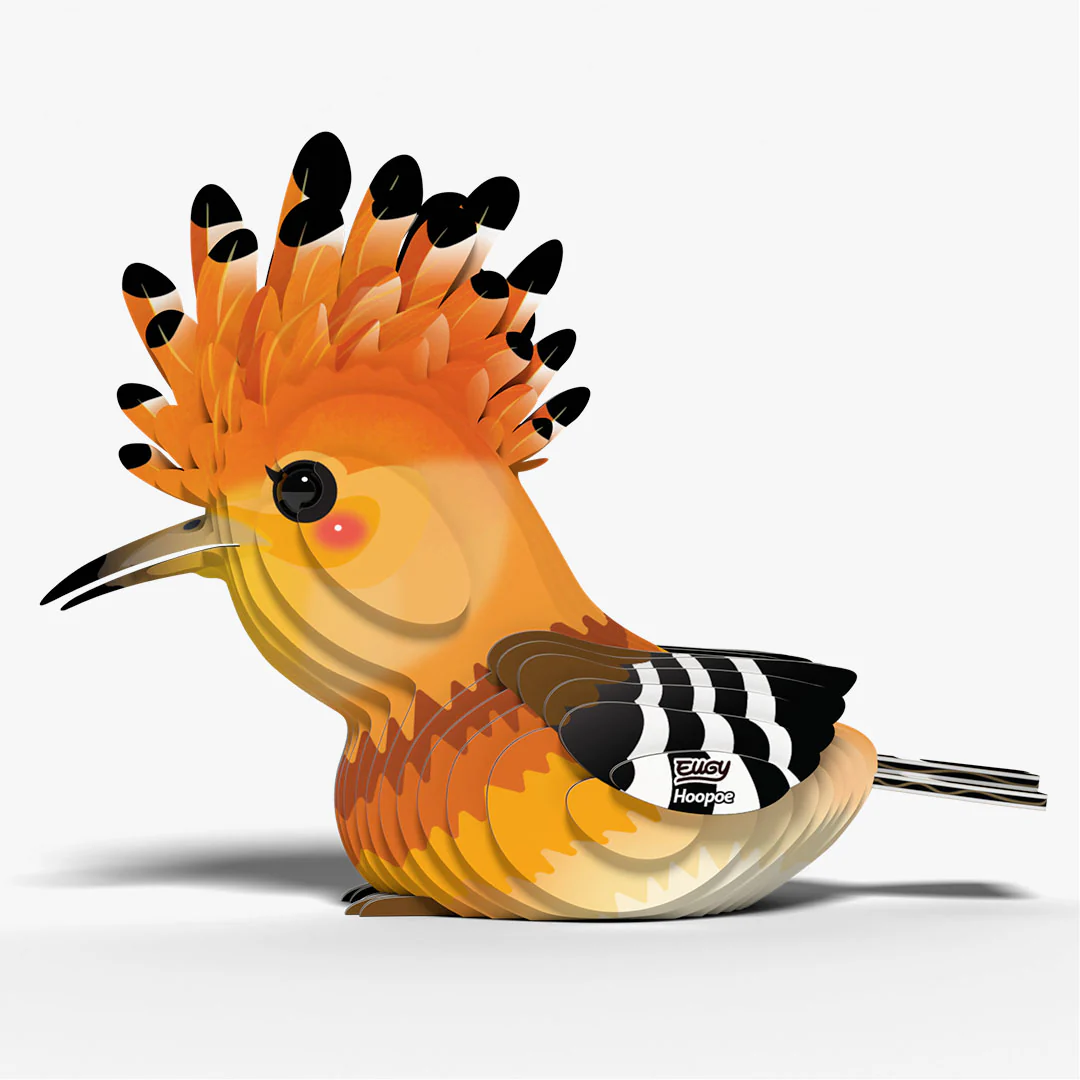 105 Hoopoe - Image 3