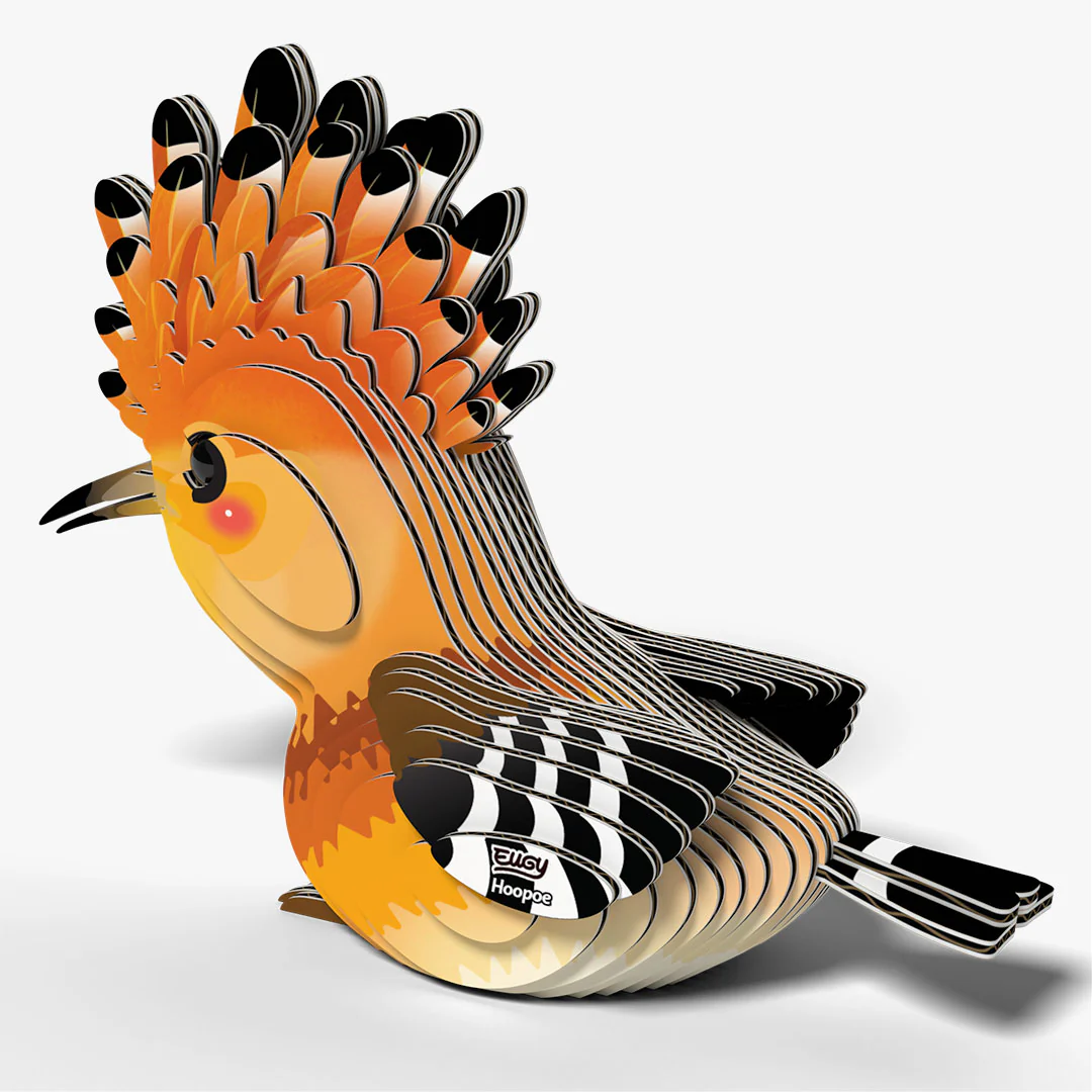105 Hoopoe - Image 4