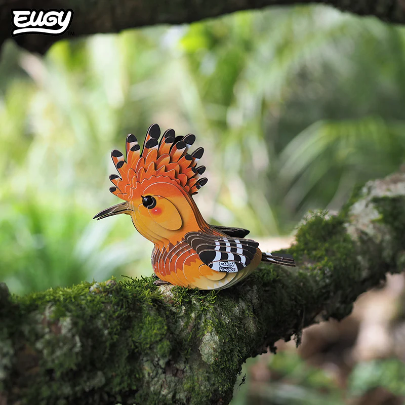 105 Hoopoe - Image 7