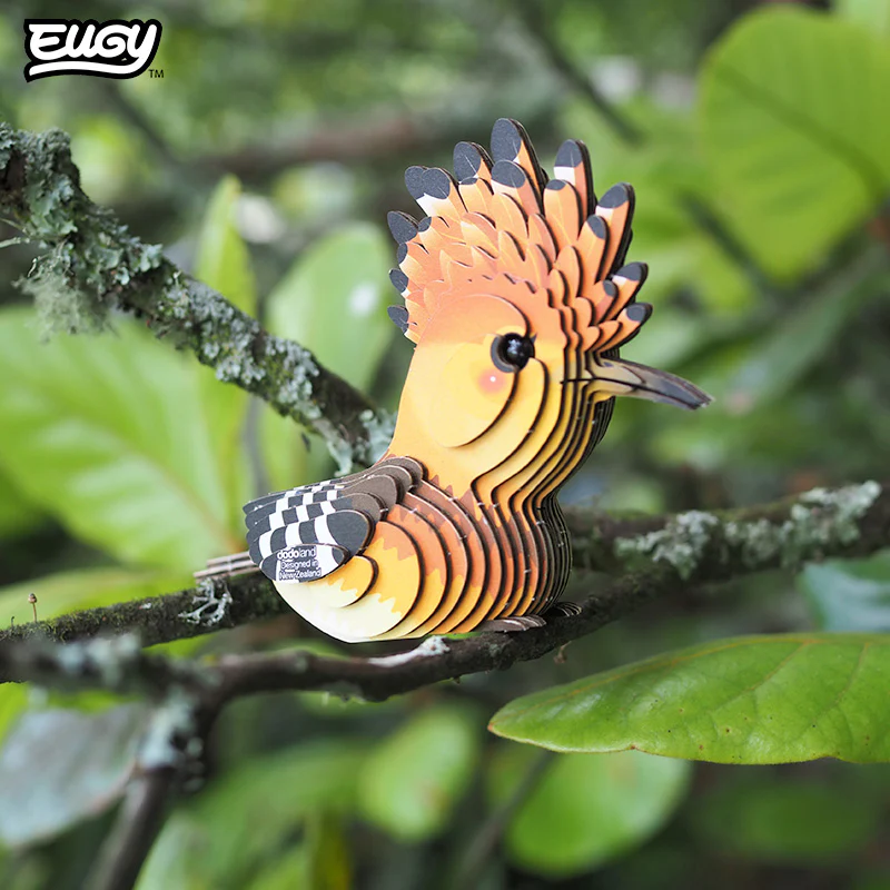 105 Hoopoe - Image 8