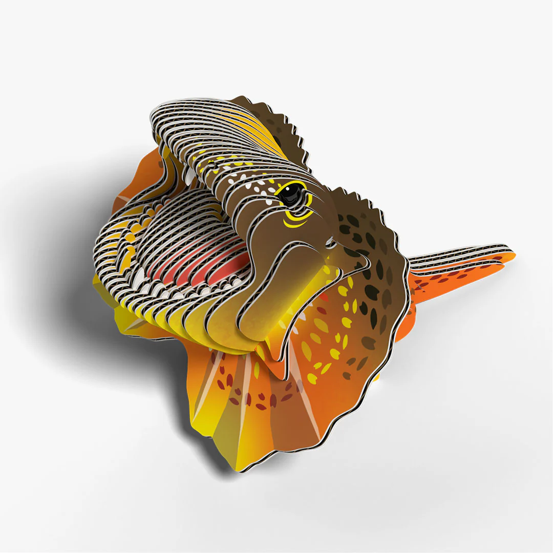 108 Frilled Lizard - Image 3