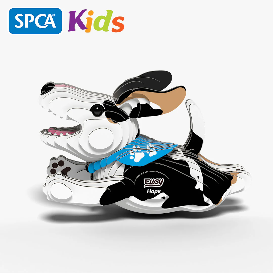 109 DOG Hope - Image 3