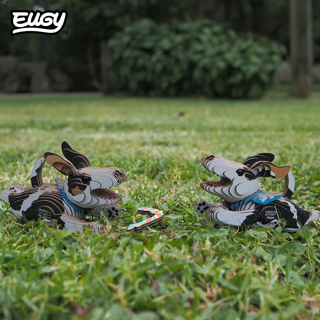 109 DOG Hope - Image 9