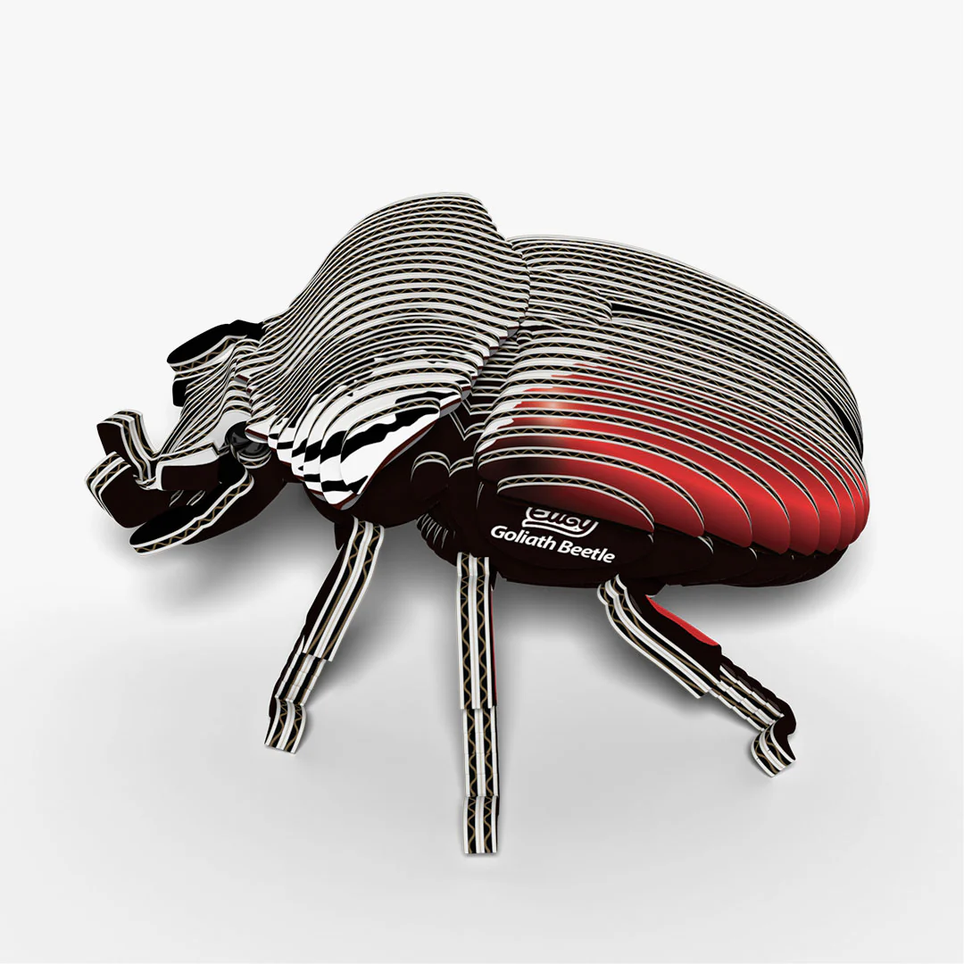 111 Goliath Beetle - Image 2