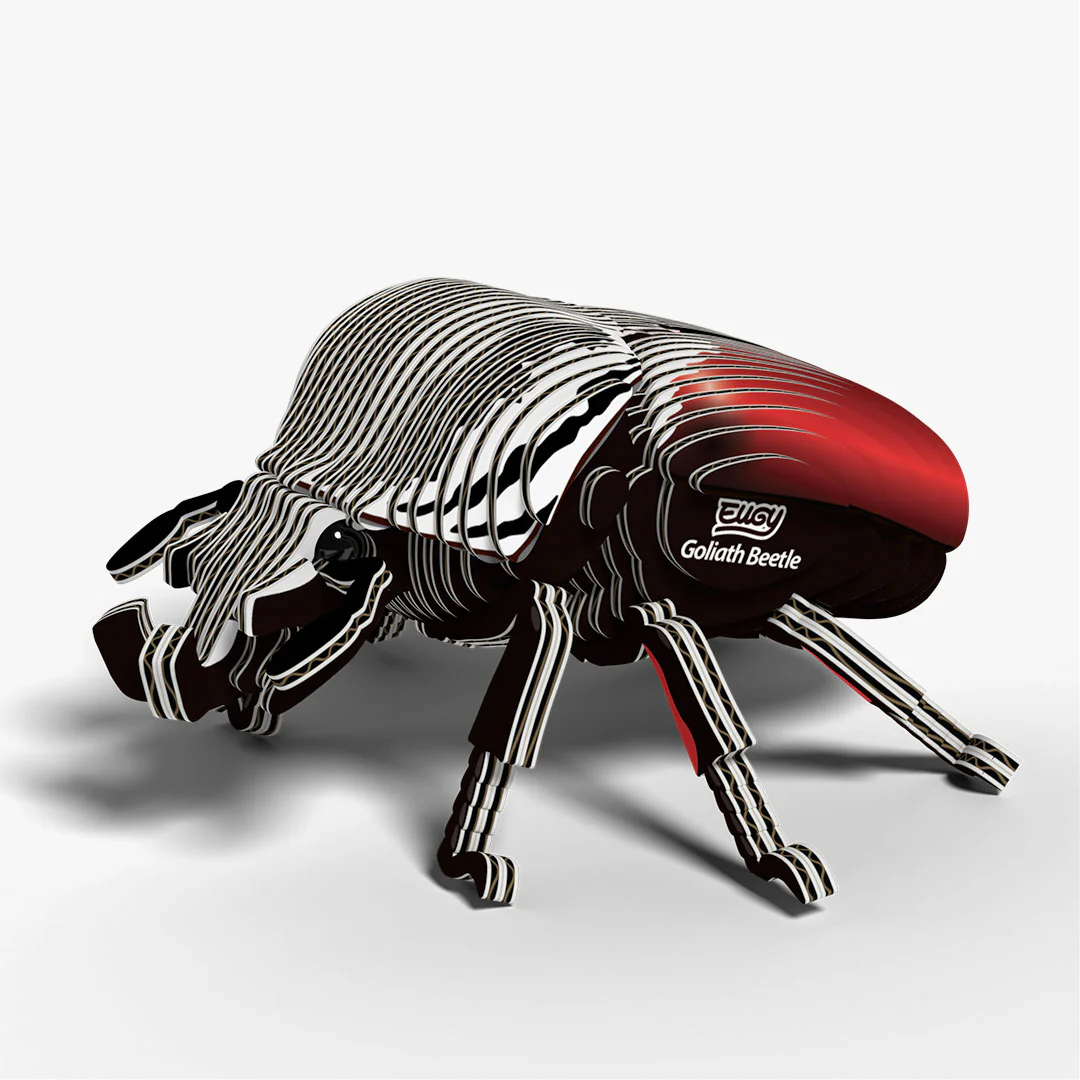 111 Goliath Beetle - Image 3