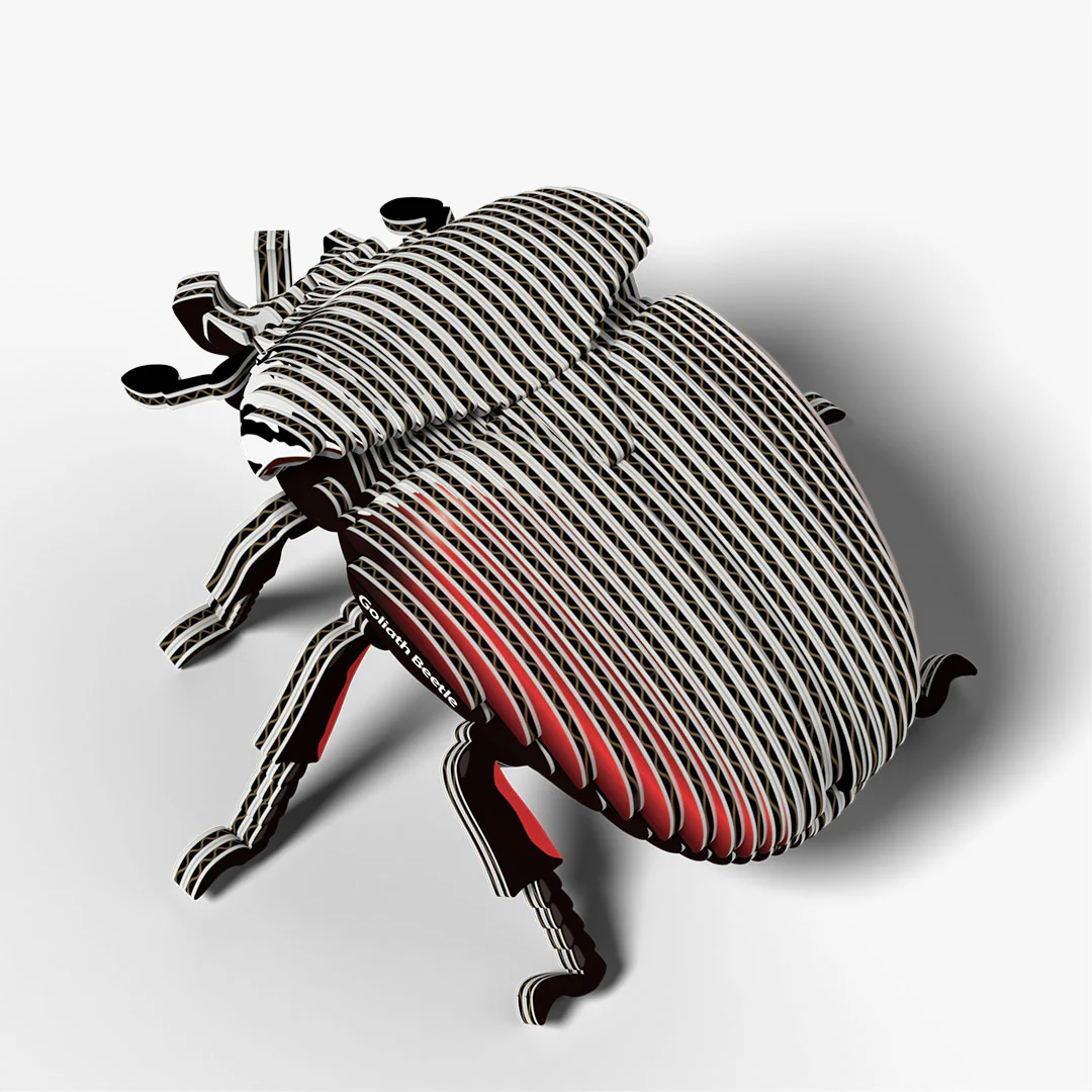 111 Goliath Beetle - Image 4
