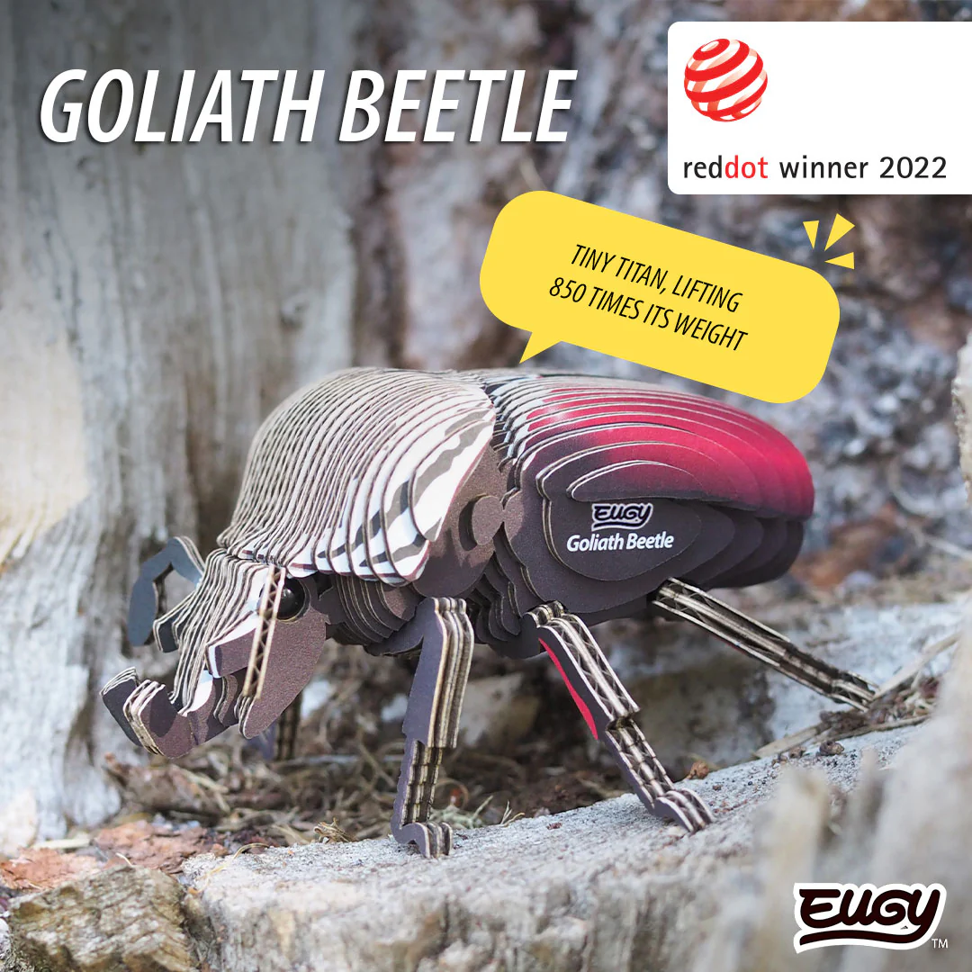 111 Goliath Beetle - Image 7