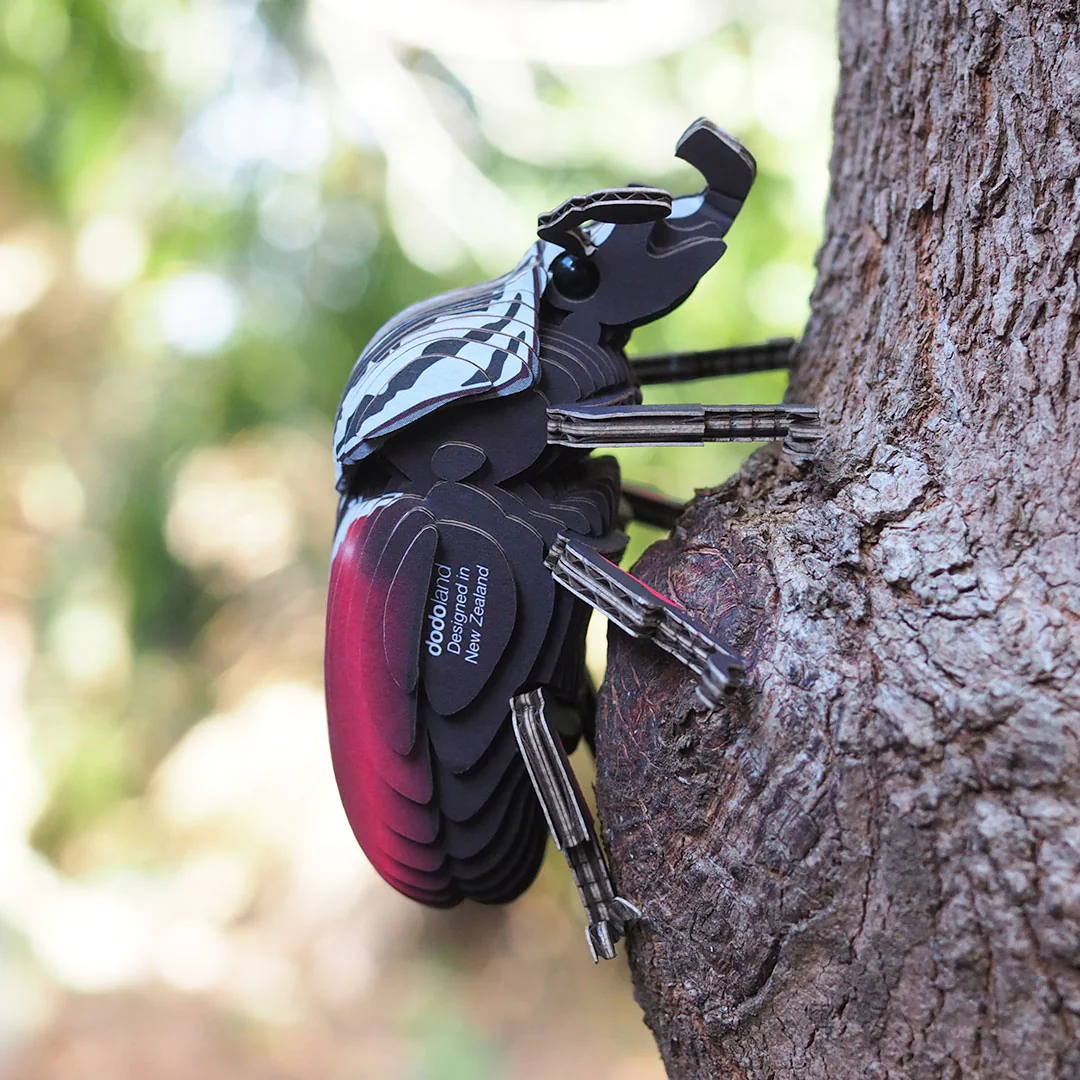 111 Goliath Beetle - Image 8