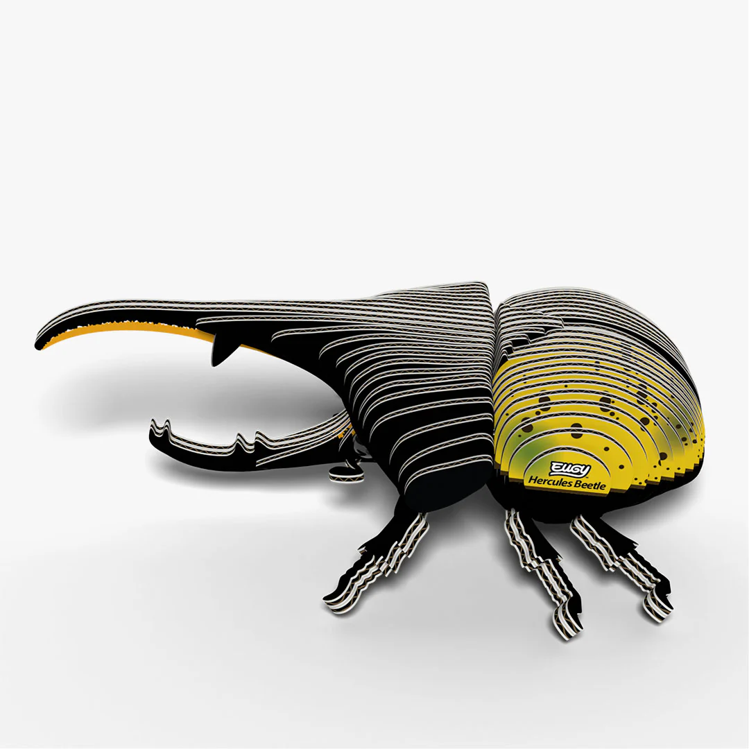 112 Hercules Beetle - Image 3