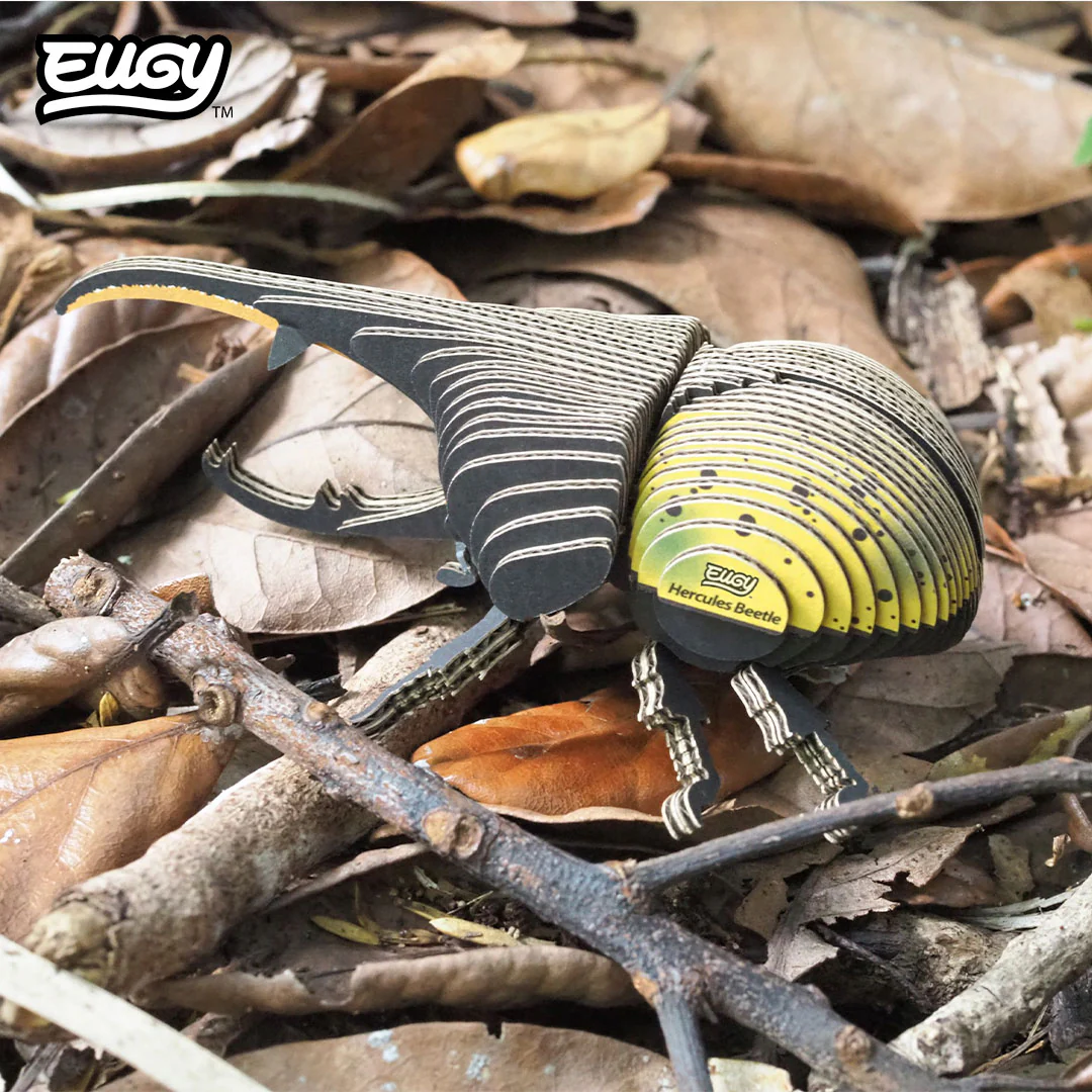 112 Hercules Beetle - Image 9