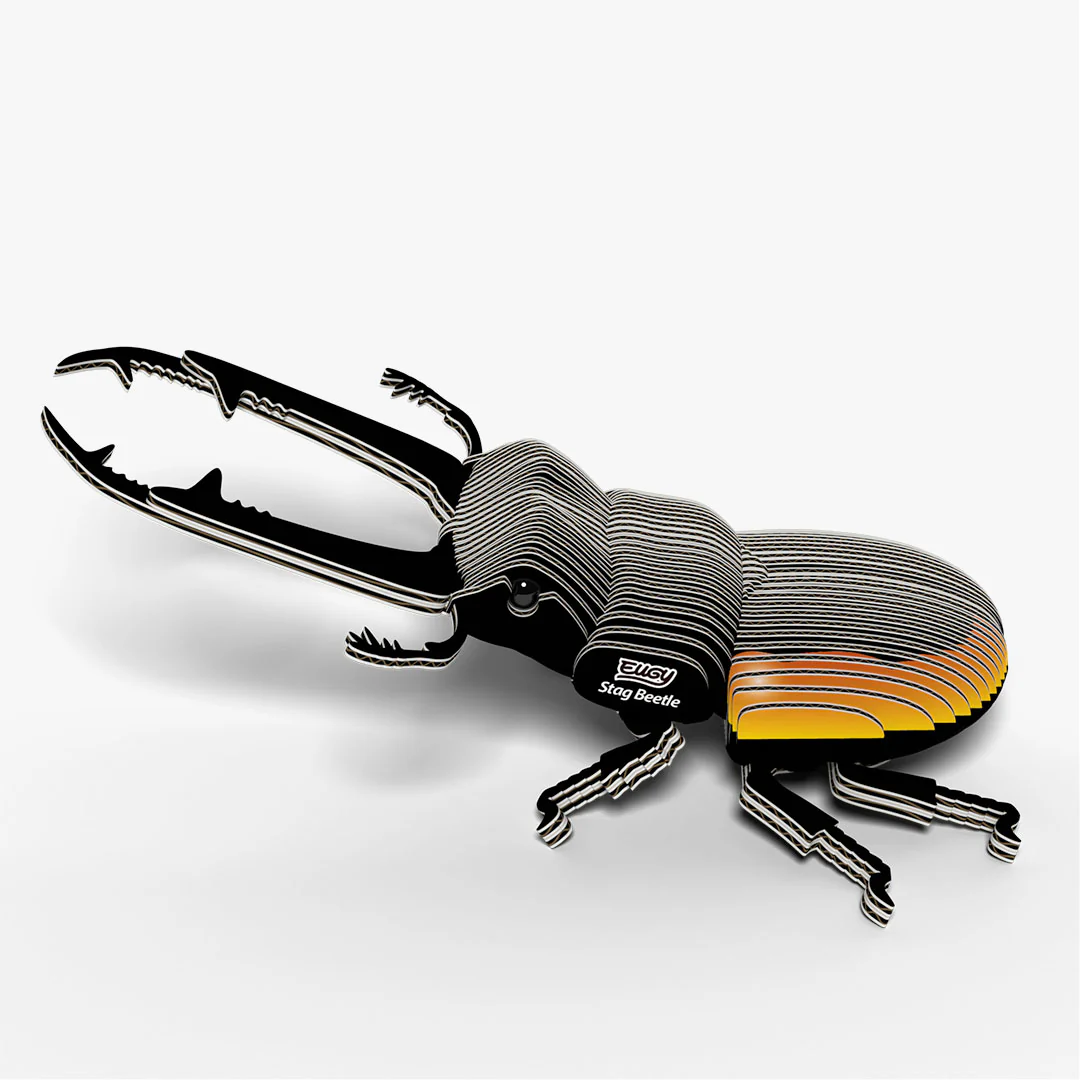 114 Stag Beetle - Image 3